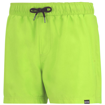Pánske plavky Regatta Mawson Swim Shorts III