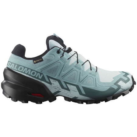 Dámske topánky Salomon Speedcross 6 Gore-Tex