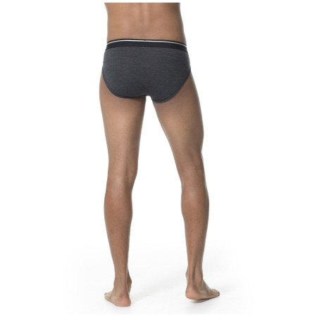 Pánske slipy Icebreaker Mens Anatomica Briefs
