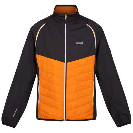 Pánska bunda Regatta Steren Hybrid