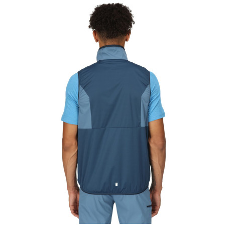 Pánska vesta Regatta Lankin V