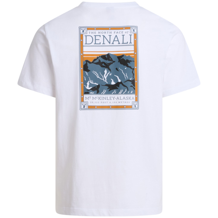 Pánske tričko The North Face M North Faces Regular Short Sleeve Tee-Graphic