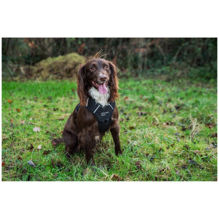 Postroj pre psa Mountain Paws Dog Harness