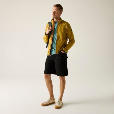 Pánska mikina Regatta Malton