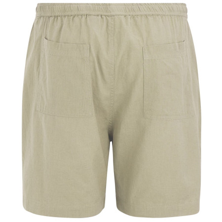 Pánske kraťasy Regatta Hadlin Shorts