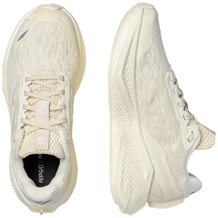 Dámske bežecké topánky Salomon Aero Glide 4