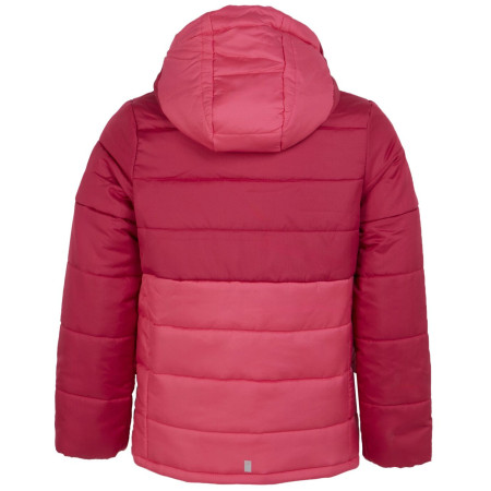 Detská bunda Regatta Lofthouse VIII