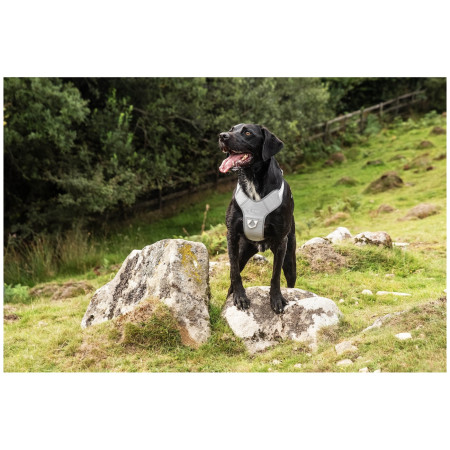 Postroj pre psa Mountain Paws Reflective Dog Harness