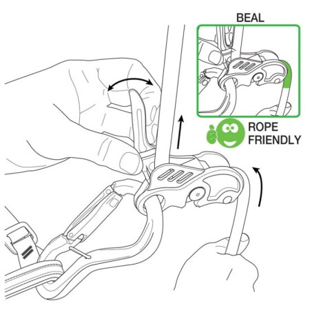 Istiacia brzda Beal Birdie