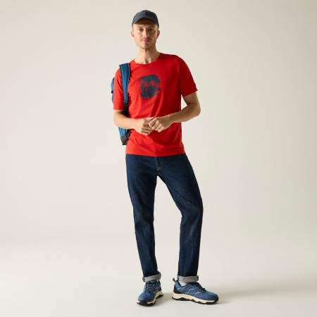 Pánske tričko Regatta Cline IX