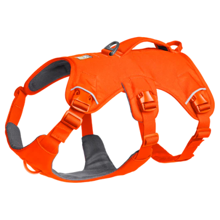 Postroj pre psa Ruffwear Web Master™ Harness