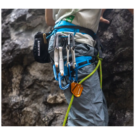 Brzda Mammut Assist Belay Resistor