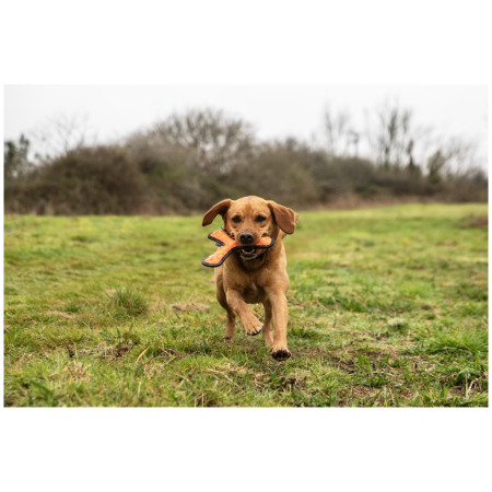 Hračka pre psa Mountain Paws Rubber Throw Dog Toy