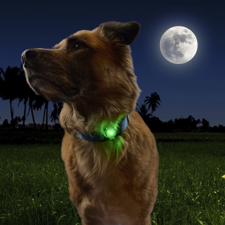 Svetlo pre psa Nite Ize NiteDog™ Rechargeable Pet Light
