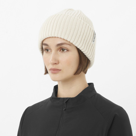 Čiapka Salomon Snowbird Beanie U
