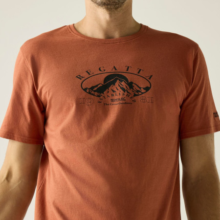 Pánske tričko Regatta Cline IX