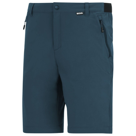 Pánske nohavice Regatta Anti-Insect Travel Light Z/O Trousers