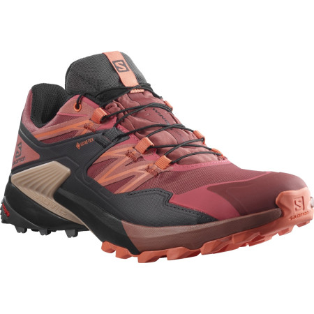 Dámske topánky Salomon Wings Sky Gore-Tex