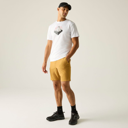 Pánske tričko Regatta Fingal Graphic T-Shirt