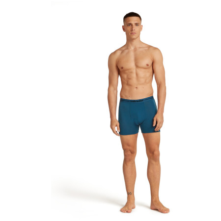 Pánske boxerky Icebreaker Men Merino 150 Anatomica Boxers