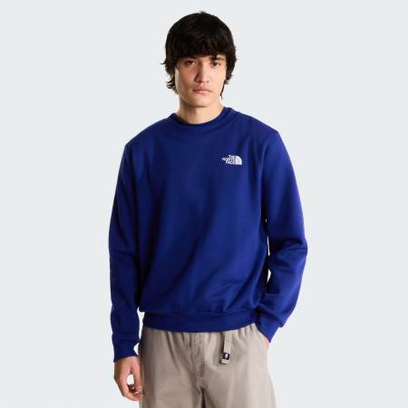 Pánska mikina The North Face M Evolution Box Nse Regular Crew