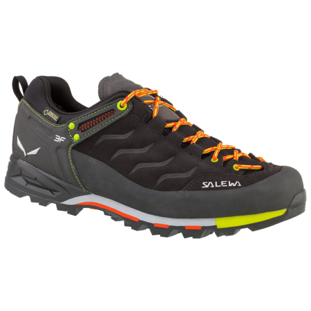 Pánske topánky Salewa MTN Trainer GTX (2017)