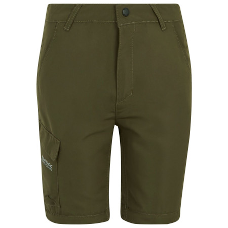 Detské nohavice Regatta Sorcer Z/O Trousers III Treetop