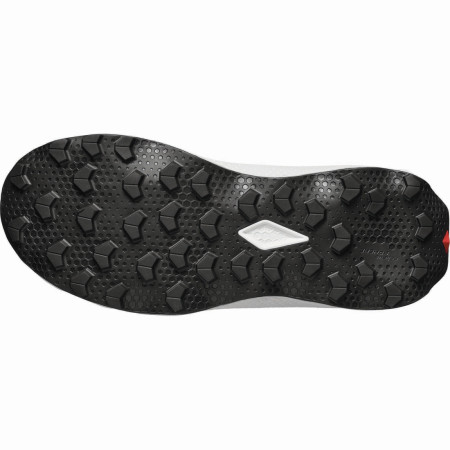 Pánske topánky Salomon Ultra Flow 2