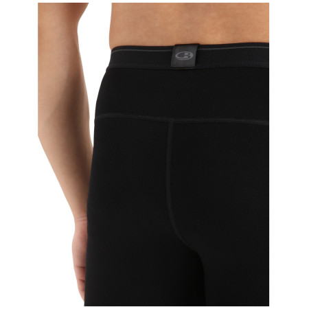 Pánske funkčné spodky Icebreaker M 260 Tech Leggings wFly