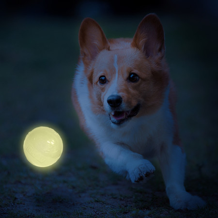 Hračka pre psa Nerf Dog LED launcher Air Strike
