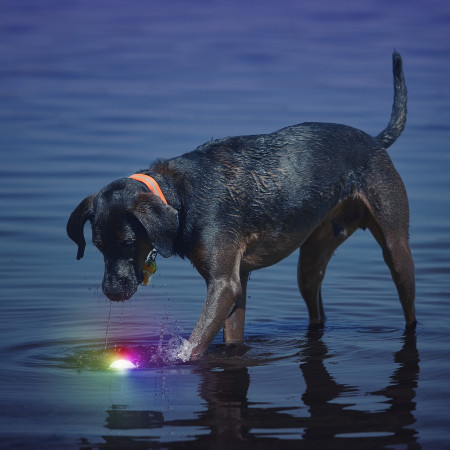 Hračka pre psa Nite Ize Glowstreak LED Ball