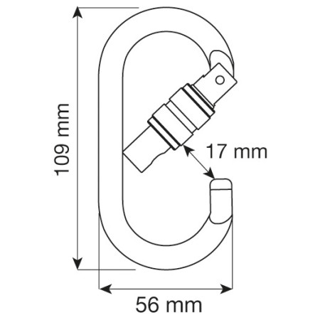 Karabína Camp Oval Pro Lock