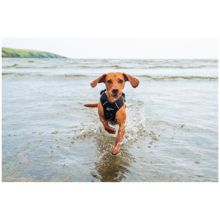 Postroj pre psa Mountain Paws Dog Harness