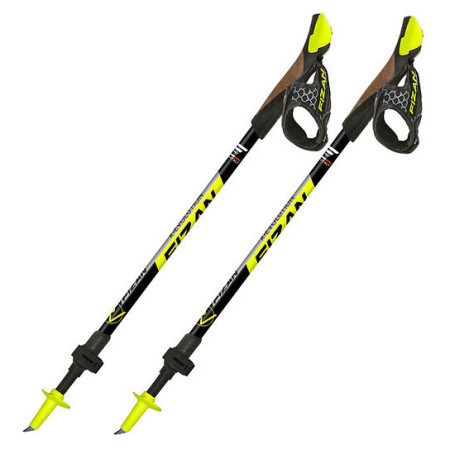 Nordic Walking palice Fizan R-Evolution