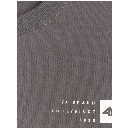 Pánske tričko 4F Tshirt M3131