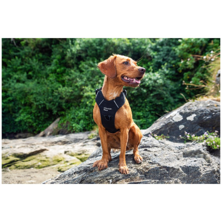 Postroj pre psa Mountain Paws Dog Harness