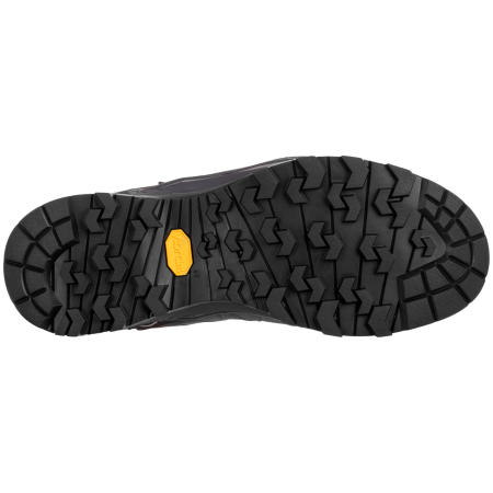 Dámske topánky Salewa Ws Alp Trainer 2 Mid Gtx