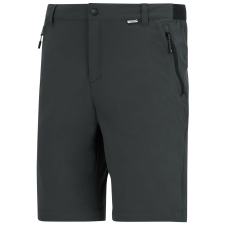 Pánske nohavice Regatta Anti-Insect Travel Light Z/O Trousers
