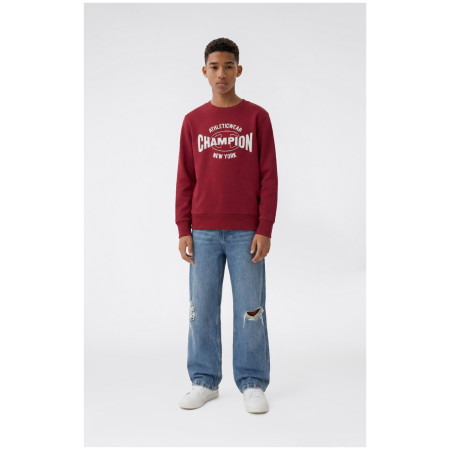 Detská mikina Champion Crewneck Sweatshirt B GMS