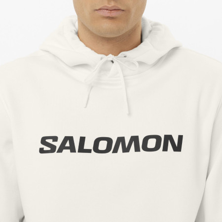 Pánska mikina Salomon Logo Hoodie M