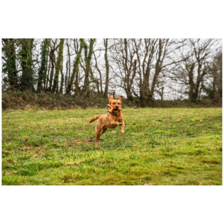 Hračka pre psa Mountain Paws Rubber Throw Dog Toy