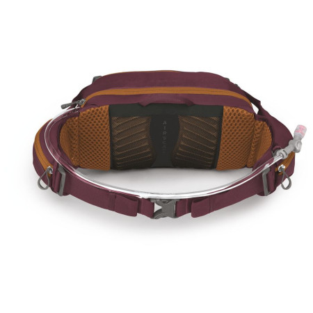 Ľadvinka Osprey Seral 7