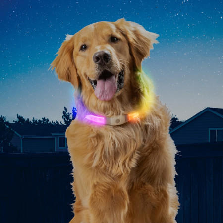 Svietiaci obojok pre psa Nite Ize NiteHowl Max LED