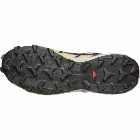 Dámske topánky Salomon Speedcross 6 Gore-Tex