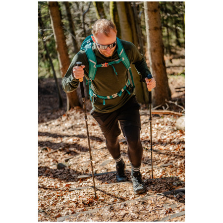 Trekové palice Zulu Hiker Carbon Lock