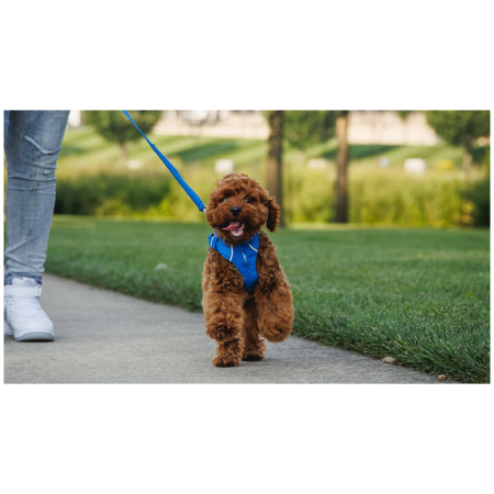 Vôdzka pre psa Ruffwear Front Range™ Leash