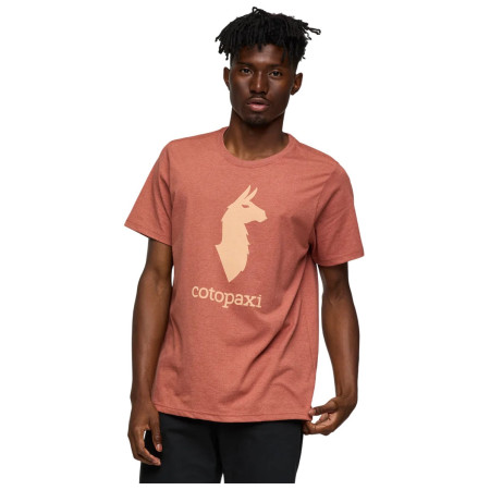 Pánske tričko Cotopaxi Cotopaxi Llama T-Shirt