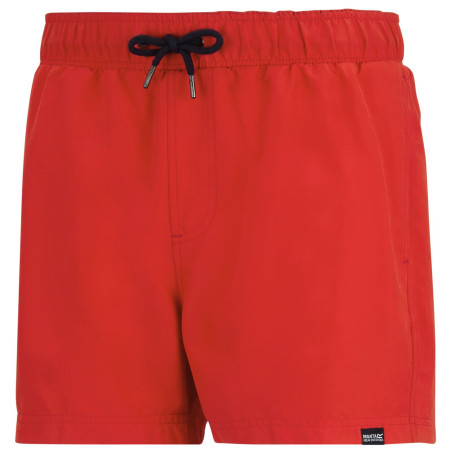 Pánske plavky Regatta Mawson Swim Shorts III