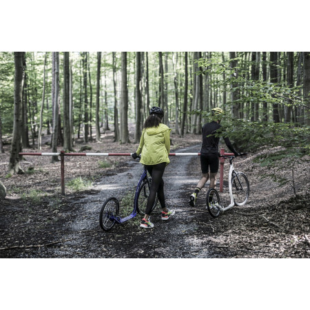 Kolobežka Yedoo Trexx