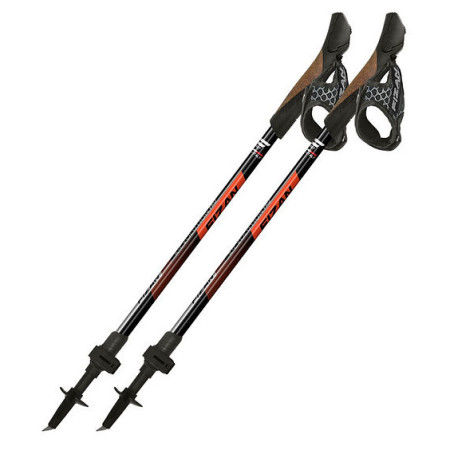 Nordic Walking palice Fizan R-Evolution Pro